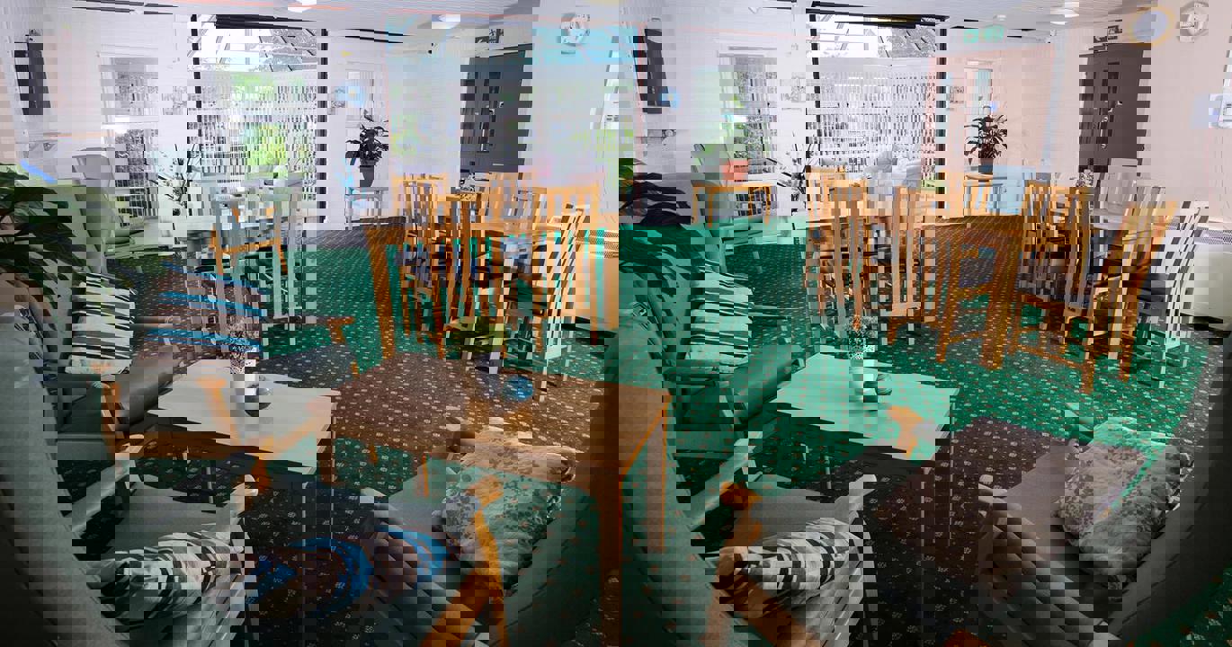 A comfortable reading room with chairs, tables, and a bright green carpet